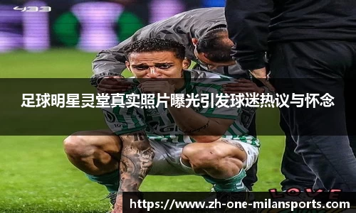 官方网站
